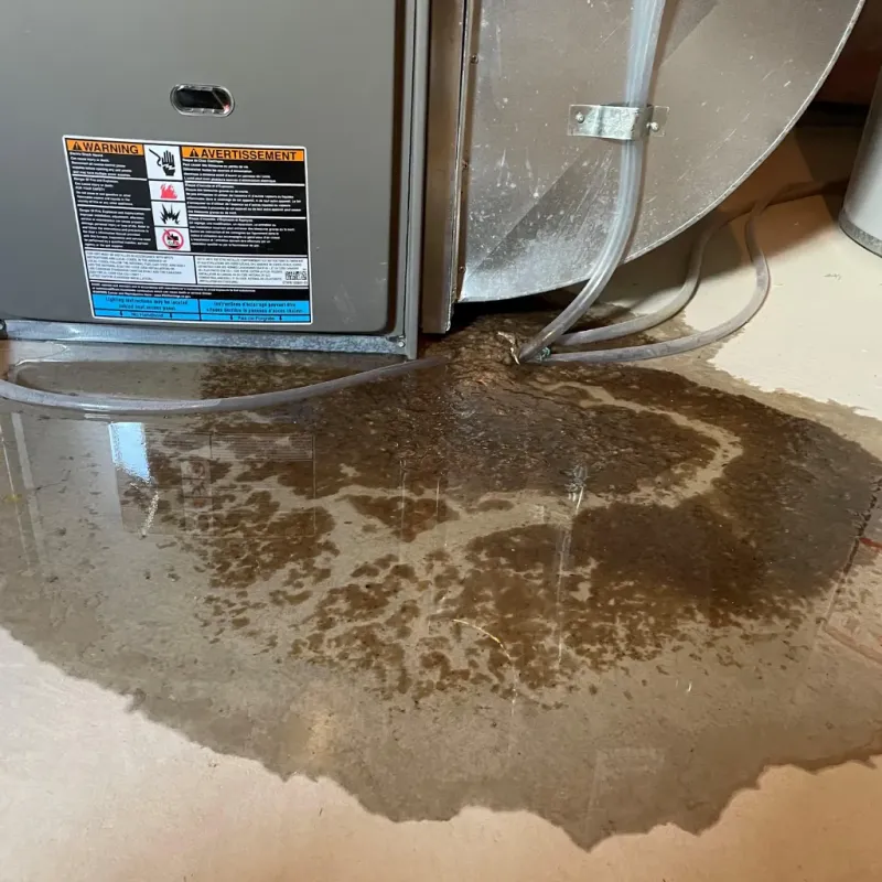 Appliance Leak Cleanup in Wichita Falls, TX